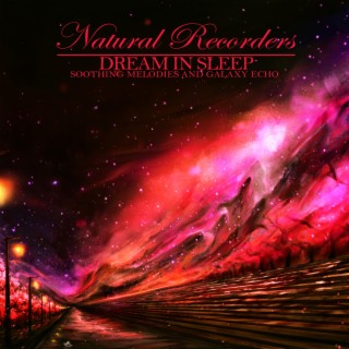 Dream In Sleep