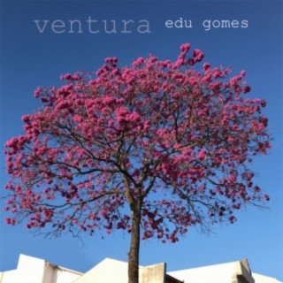 Edu Gomes