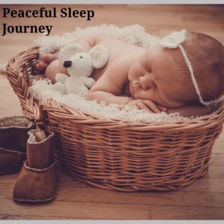 Peaceful Sleep Journey