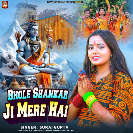 Bhole Sankar Ji Mere Hai | Boomplay Music