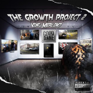 The Growth Project 2