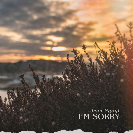 I'M SORRY | Boomplay Music