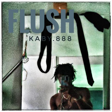 FLUSH | Boomplay Music