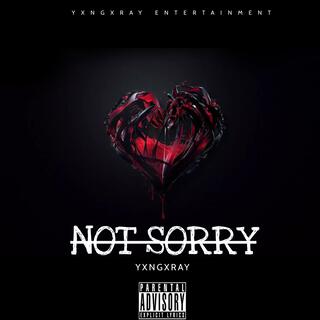 NOT SORRY (L2M)