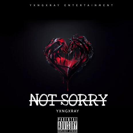 NOT SORRY (L2M) | Boomplay Music