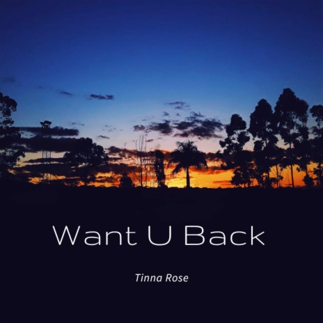 Want U Back | Boomplay Music