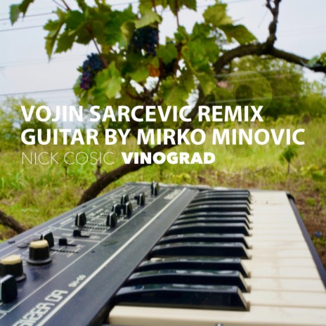 Vinograd (Vojin Sarcevic Remix) | Boomplay Music