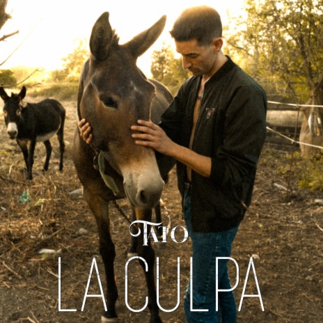 La Culpa | Boomplay Music
