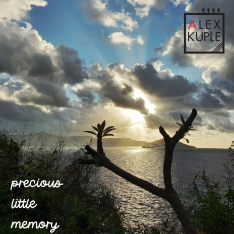 Precious Little Memory | Boomplay Music