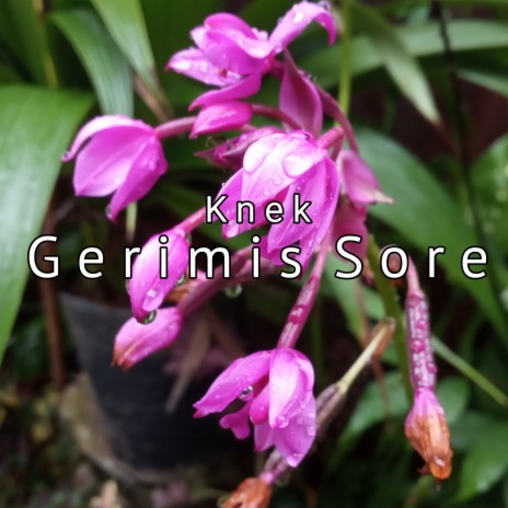 Gerimis Sore | Boomplay Music