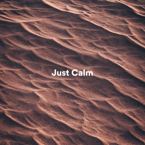 Calm Universe ft. Meditation Music & Relaxing Music