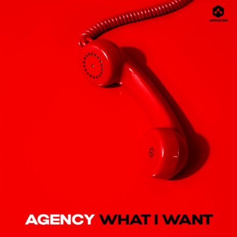 What I Want (Original Mix) | Boomplay Music