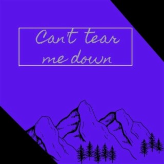 Can't Tear Me Down