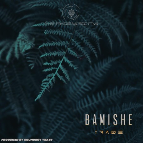 Bamishe ft. Dejiavo & 3rapp | Boomplay Music