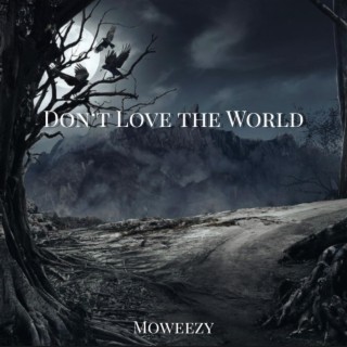 Don't Love the World lyrics | Boomplay Music