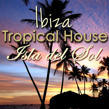 Tropical House | Boomplay Music