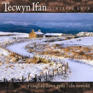 Tecwyn Ifan