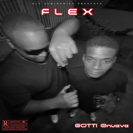 Flex | Boomplay Music