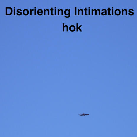 Disorienting Intimations | Boomplay Music