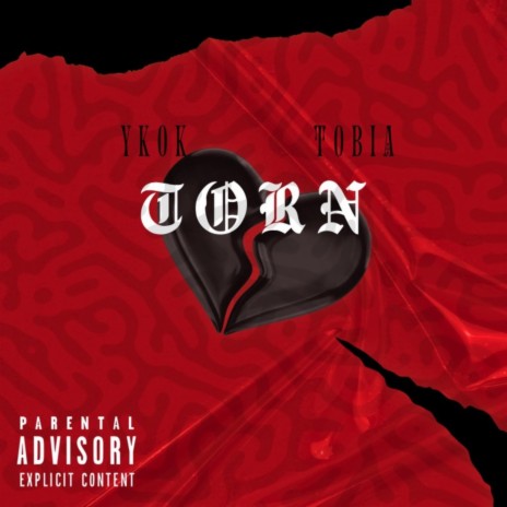 Torn ft. YKOK | Boomplay Music