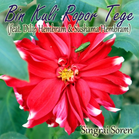 Bin Kuli Ropor Tege ft. Dilip Hembram & Sushama Hembram | Boomplay Music