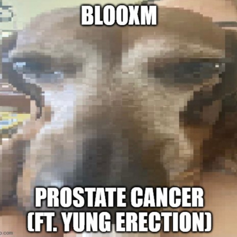 PROSTATE CANCER ft. yung erection | Boomplay Music