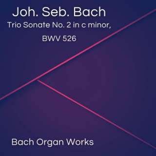 Trio Sonate No. 2 in c minor, BWV 526 (Johann Sebastian Bach, Epic Organ, Classic)