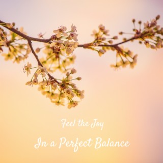 In a Perfect Balance