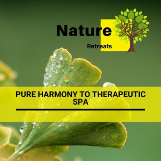 Pure Harmony to Therapeutic Spa