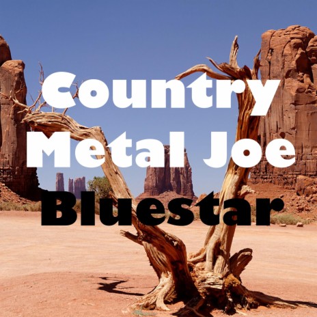 Country Metal Joe