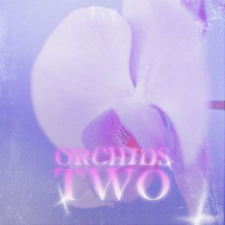 Orchids Two
