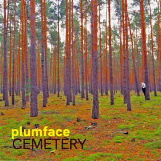 Plumface