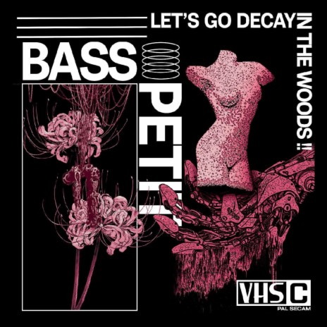 Let's Go Decay In The Woods!! | Boomplay Music