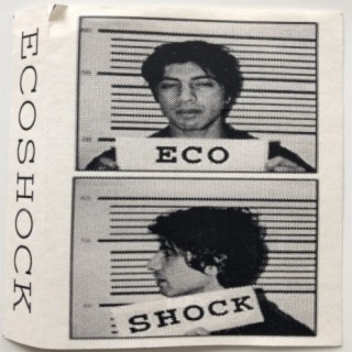 Ecoshock