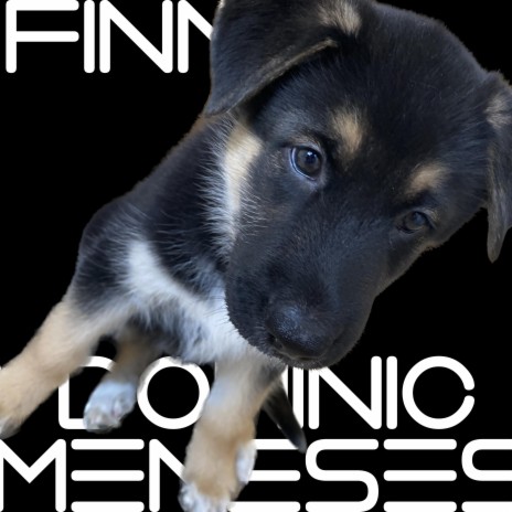 My Name Is Finn (original) | Boomplay Music