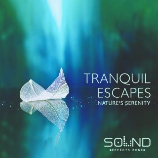Tranquil Escapes: Nature's Serenity - A Collection of Relaxing Soundscapes for Ultimate Chill Out and Stress Relief