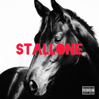 STALLONE lyrics | Boomplay Music