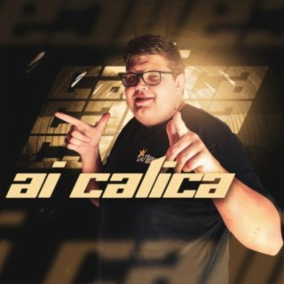 Mega Funk - Ai Calica