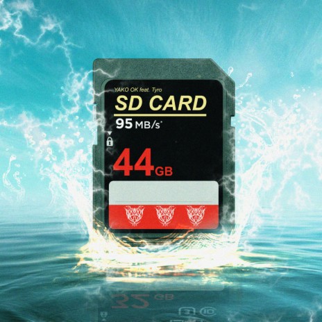 SD CARD ft. Tyro