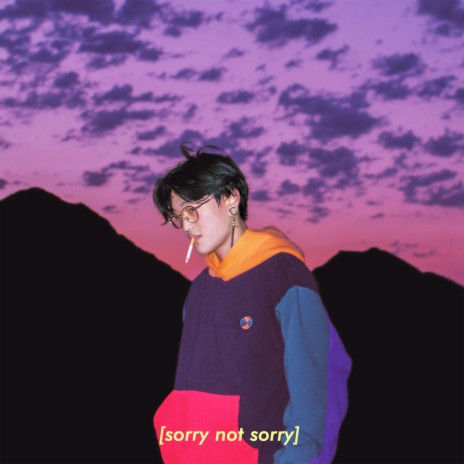 sorry not sorry | Boomplay Music