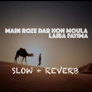 Main Roze Dar Hon Moula