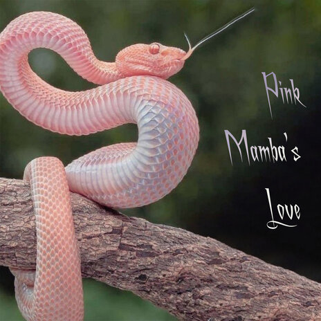 Pink Mamba's Love | Boomplay Music