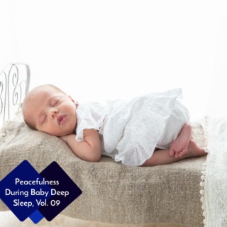 Peacefulness During Baby Deep Sleep, Vol. 09