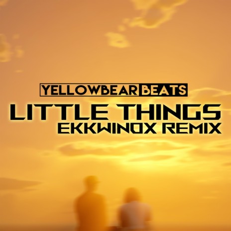 Little Things (Ekkwinox Remix) ft. Ekkwinox