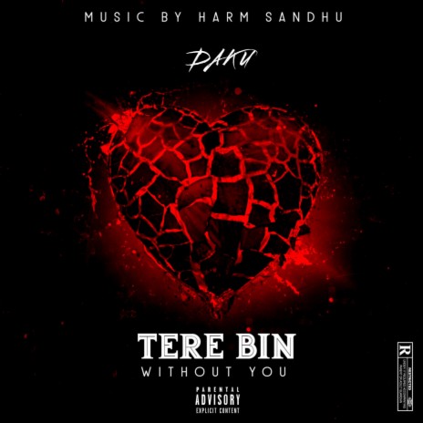 TERE BIN (WITHOUT YOU) | Boomplay Music