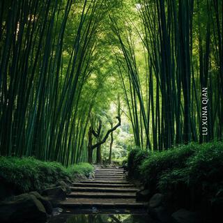 Deep Forest Therapy: Japanese Forest Bathing Meditation Music with Healing Nature Sounds, Shinrin-Yoku