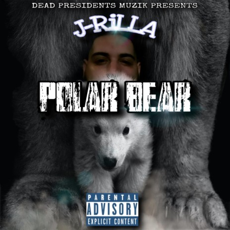 Polar Bear | Boomplay Music