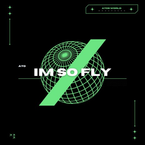 IM SO FLY | Boomplay Music