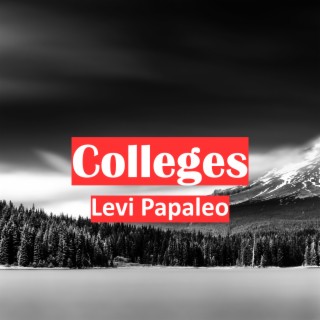 Levi Papaleo