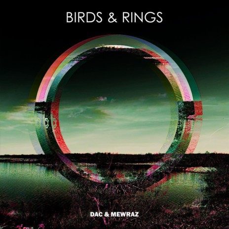 Birds & Rings ft. Mewraz | Boomplay Music